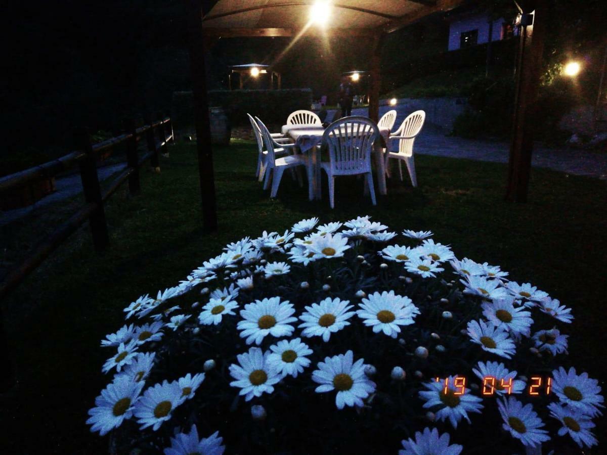 Bed and Breakfast Villino Iso La Spezia Zewnętrze zdjęcie